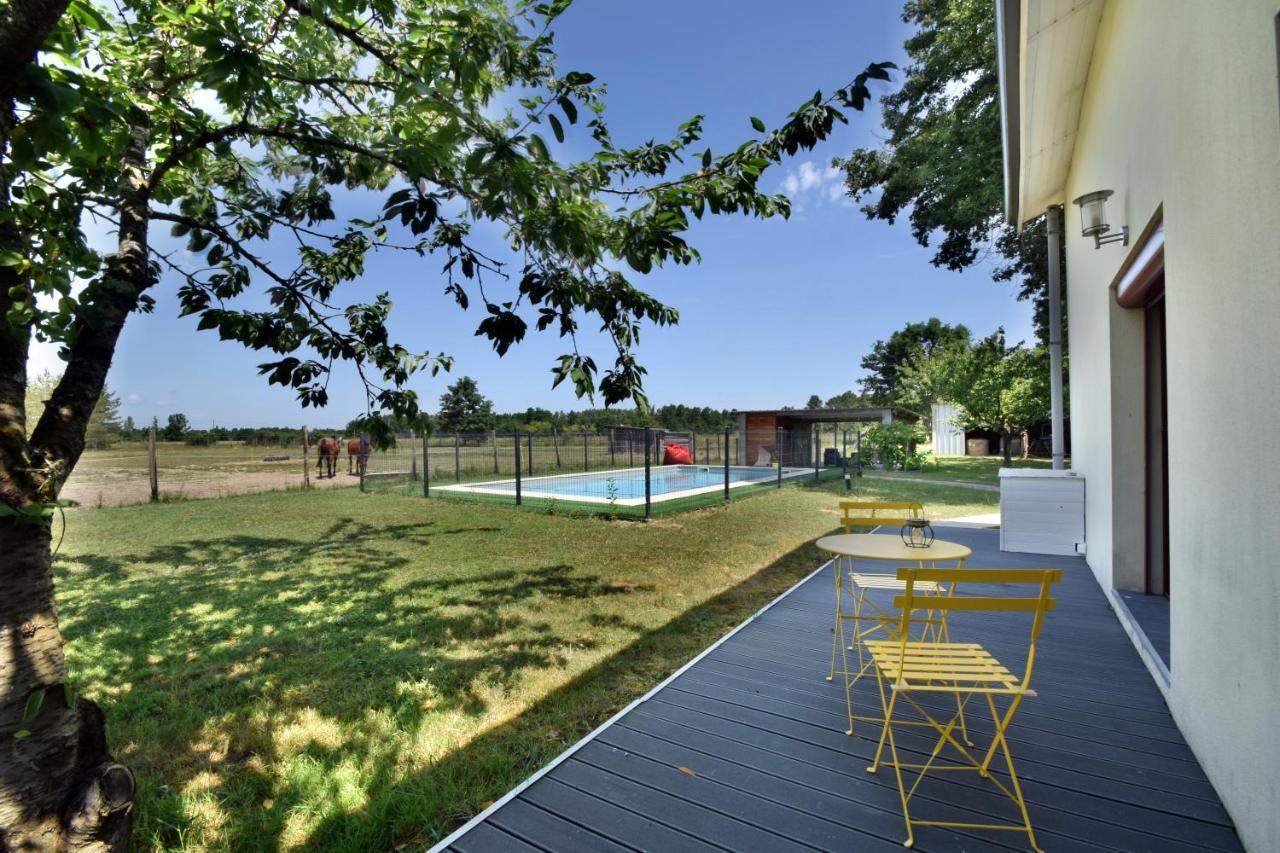 Villa Monplaisir 82 Montech Εξωτερικό φωτογραφία
